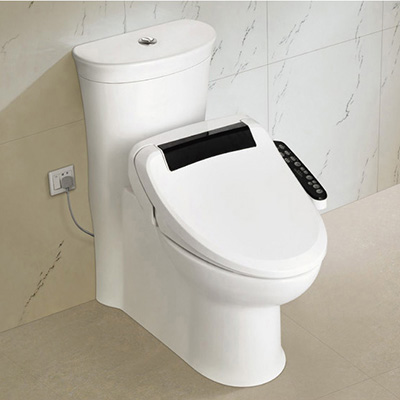 Smart Toilet